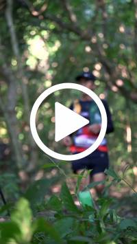 BIB:  <button type="button" onclick="openModal(28063923)" class="btn btn-primary btn-sm float-right" data-toggle="modal" data-target=".modal-high-quality">
                <i class="fa fa-download"></i> Download
                </button>